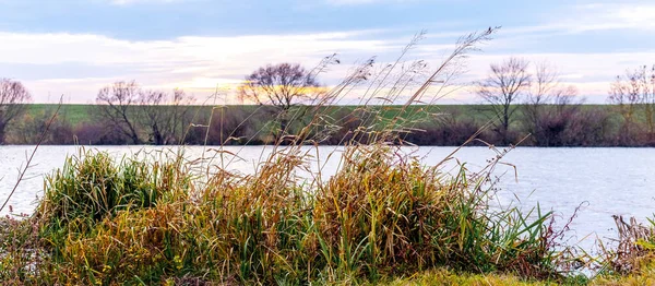 Autumn View Sedge Thickets River Bank Sunset — Stock fotografie