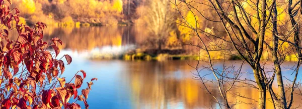 Jesienny Krajobraz Kolorowymi Drzewami Nad Brzegiem Rzeki Słoneczny Dzień Odbicie — Zdjęcie stockowe