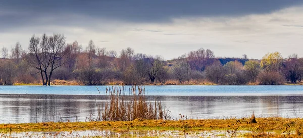 Podzimní Krajina Stromy Rákosím Březích Řeky Oblačného Počasí — Stock fotografie