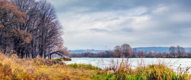 Bulutlu havada nehir kenarında çıplak ağaçlarla sonbahar manzarası