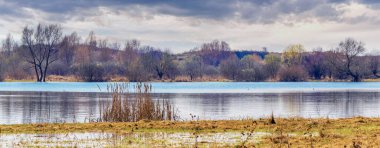 Ağaçları yansıtan bir nehirle sonbahar manzarası ve bulutlu bir gökyüzü. Sonbahar havası