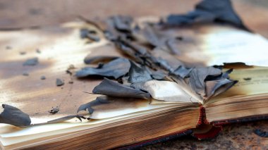 Yanmış sayfaları olan açık bir kitap. 