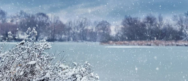 Winter Landscape Snow Covered Bush River Bank Snowfall — Photo