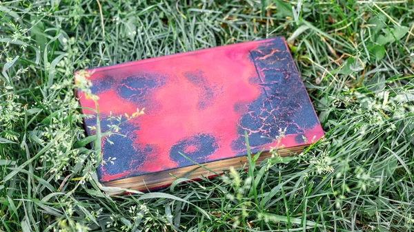 Burnt book with red binding in the garden on the grass. A discarded book