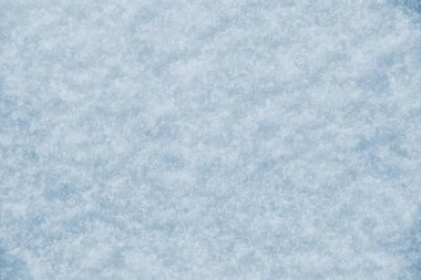 Texture of snow in sunny weather. Snow cover with snow crystals