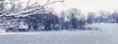 Nehir kıyısında karlı bir ağaç dalı olan kış manzarası ve uzakta ağaçlar.