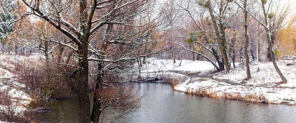 Parque Inverno Com Árvores Cobertas Neve Perto Uma Lagoa Primeira — Fotografia de Stock