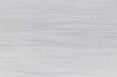 Kış arkaplanı karla kaplı bir nehir.