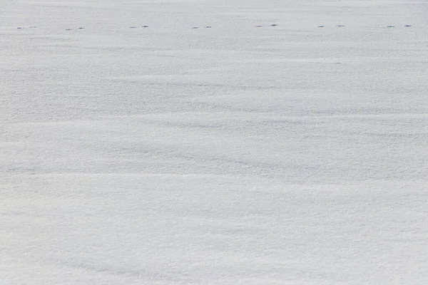 Téli Háttér Havas Jéggel Borított Folyóval — Stock Fotó