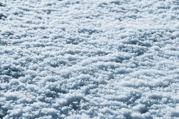 Texture of snow in sunny weather. Snow cover with snow crystals