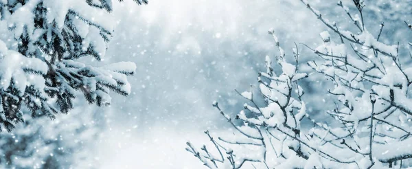 Зимний Лес Время Снегопада Снежными Ветвями Деревьев Ель Переднем Плане — стоковое фото