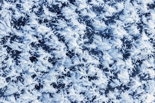 Grote Pluizige Sneeuwvlokken Sluiten Het Oppervlak Van Het Ijs Winter — Stockfoto