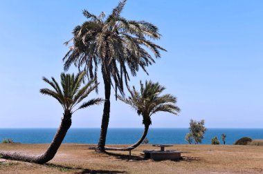 İsrail - ashkelon seyahat fotoğrafları