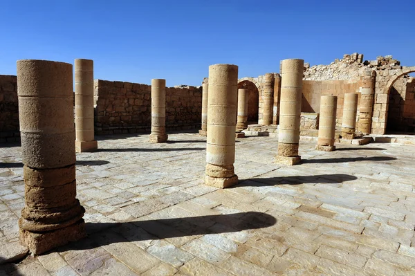 Resor bilder israel - negev öken — Stockfoto