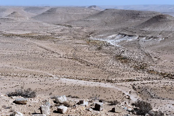 Fotos de viajes Israel - Desierto del Negev — Foto de Stock