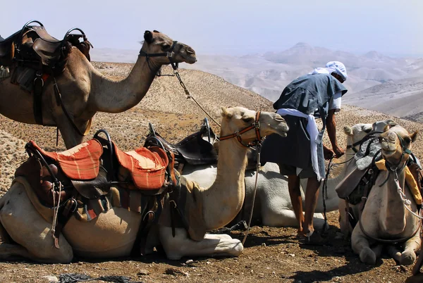 Cestování fotografie Izrael - Judské pouště — Stock fotografie