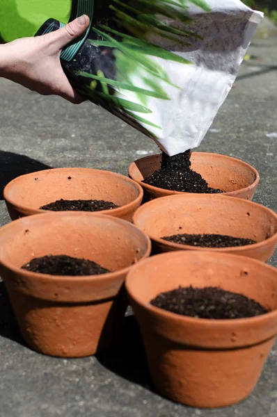 Aanplant van nieuwe planten — Stockfoto