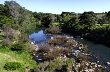 Yeni Zelanda - kerikeri seyahat