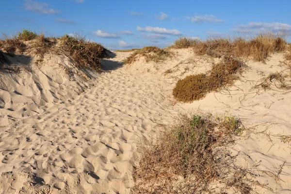 Travel Photos of Israel- Dor Habonim Beach — Stock Photo, Image