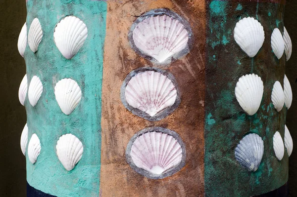 Parede de conchas brancas — Fotografia de Stock