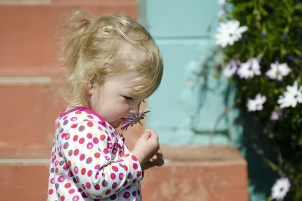 小さな女の子香りの花 — ストック写真