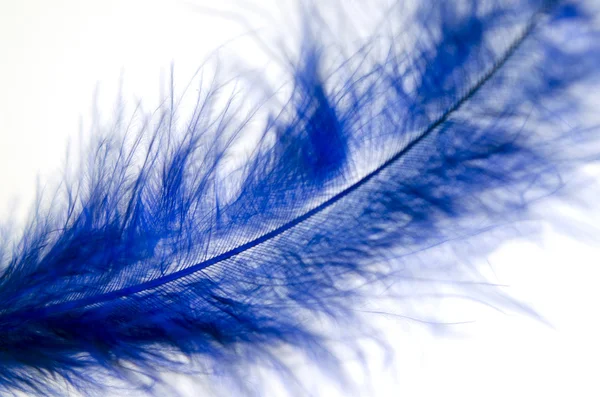 Pena azul — Fotografia de Stock