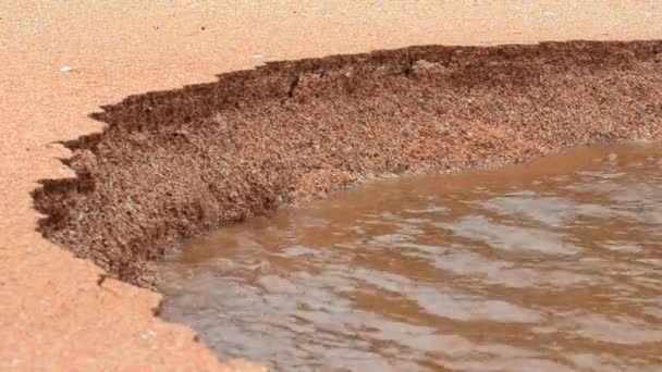 Färskt vatten ström flyter över sand ytan på stranden — Stockvideo