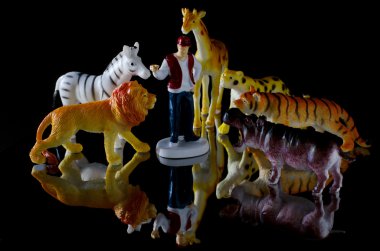 insan faktörü ve oyuncak hayvanlar