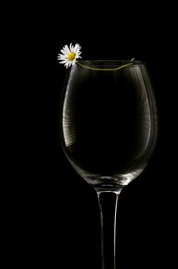 beyaz çiçek ve boş şarap kadehi