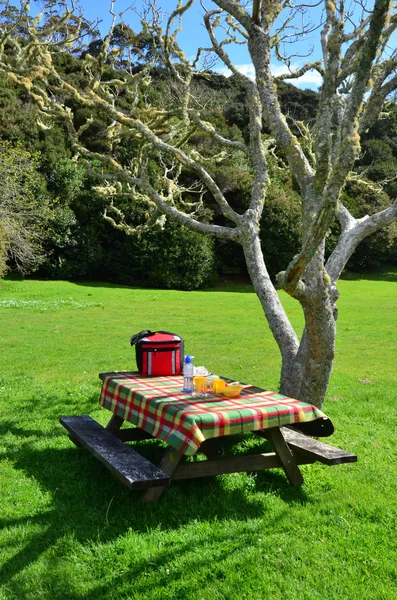 Picnic table — Stock Photo, Image