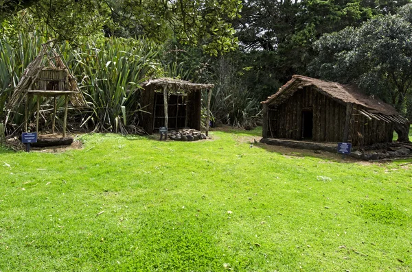 Traditionelles Maori-Dorf — Stockfoto