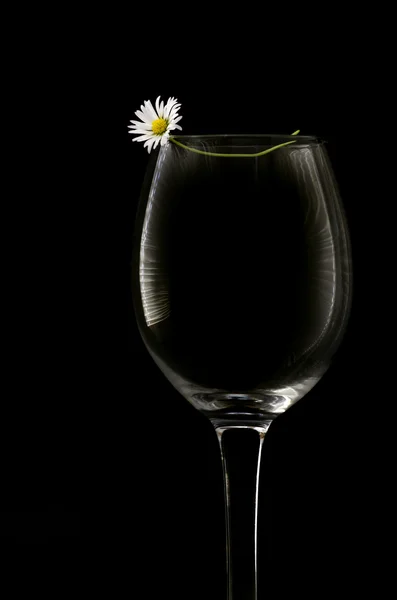 Flor branca e copo de vinho vazio — Fotografia de Stock