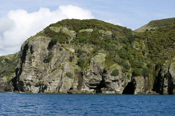 Whangaroa porto Nova Zelândia — Fotografia de Stock