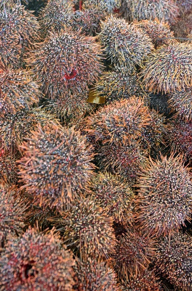 Meeresfrüchte - kina — Stockfoto