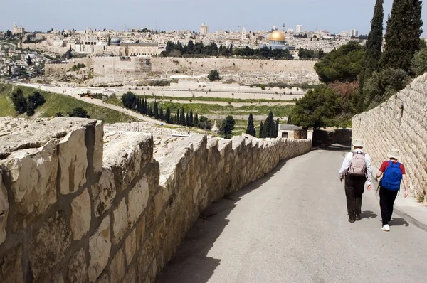 Вид на Иерусалим с Елеонской горы — стоковое фото