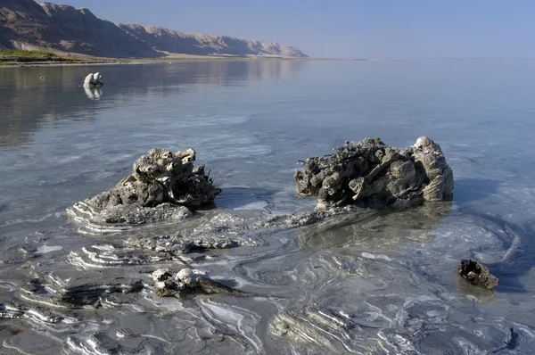 Грязевые минералы Мертвого моря — стоковое фото