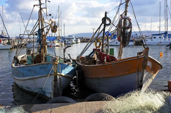 IFF eski city port İsrail