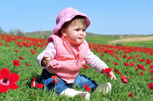 Baby girl in a red poppies field — Stock Photo, Image