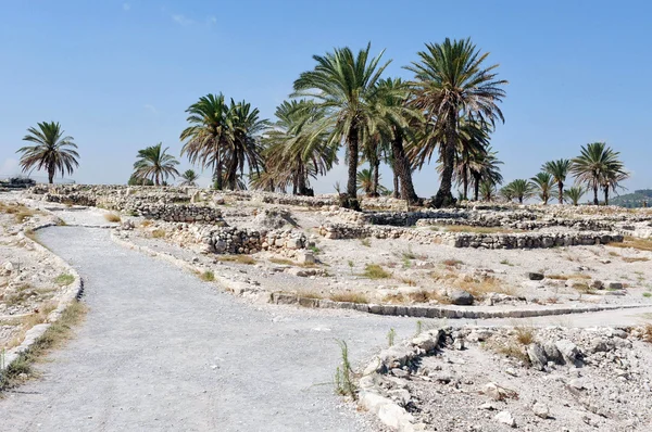 Tel MegiddoIsrael — Foto Stock