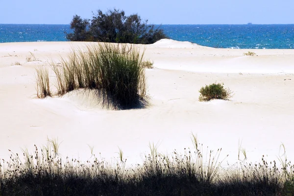 Пустой пляж выстрел из песка — стоковое фото