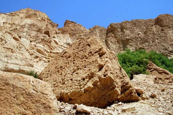 O deserto da Judéia Israel — Fotografia de Stock