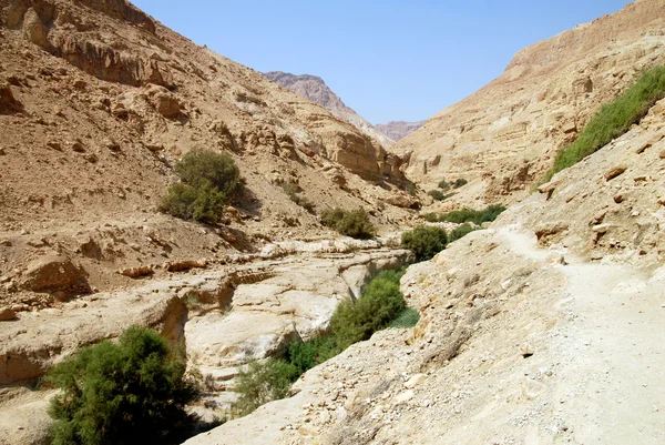 Judean desert, Israel — Stok fotoğraf