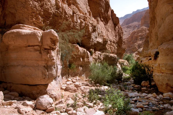 Judeiska öken israel — Stockfoto