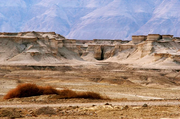 Judean desert Izraela — Zdjęcie stockowe