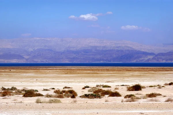 The Dead Sea Israel — Stock Photo, Image