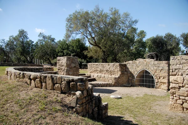 Parque Nacional Ashkelon —  Fotos de Stock