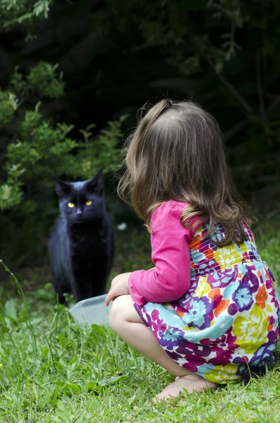 Kleines Mädchen spielt mit einer Katze — Stockfoto