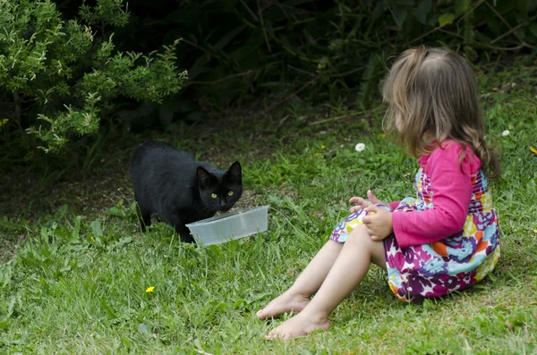 Liten flicka leker med en katt — Stockfoto