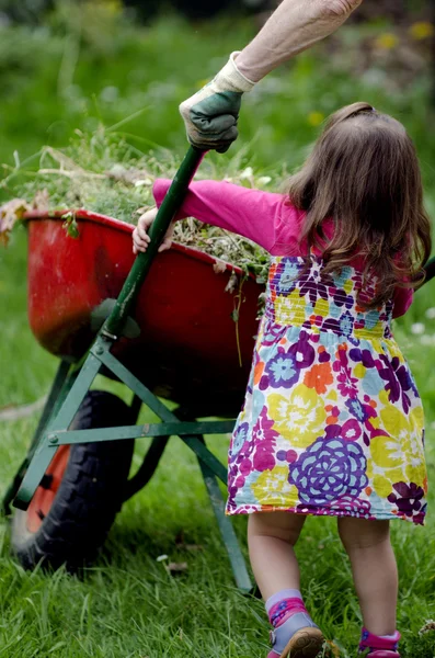 Home gardening — Stock Photo, Image