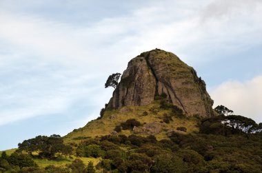 whangaroa Yeni Zelanda liman